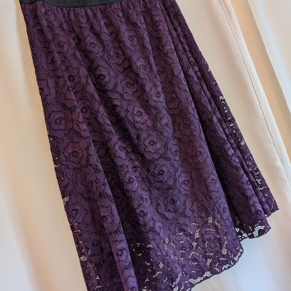 LuLaRoe Deep Purple Lace Midi Skirt